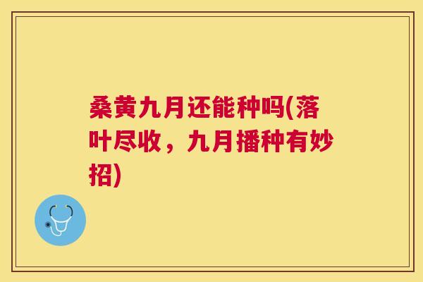 桑黄九月还能种吗(落叶尽收，九月播种有妙招)