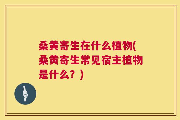 桑黄寄生在什么植物(桑黄寄生常见宿主植物是什么？)