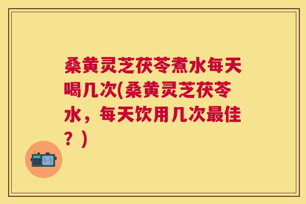桑黄灵芝茯苓煮水每天喝几次(桑黄灵芝茯苓水，每天饮用几次佳？)