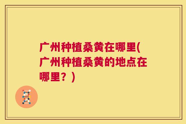 广州种植桑黄在哪里(广州种植桑黄的地点在哪里？)