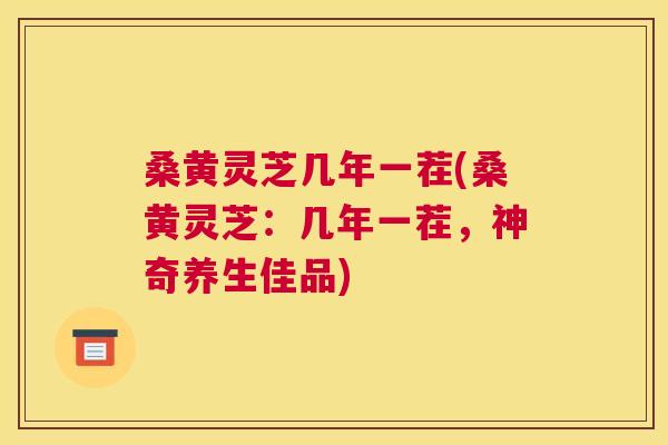 桑黄灵芝几年一茬(桑黄灵芝：几年一茬，神奇养生佳品)