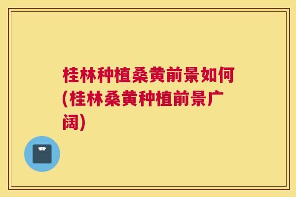 桂林种植桑黄前景如何(桂林桑黄种植前景广阔)
