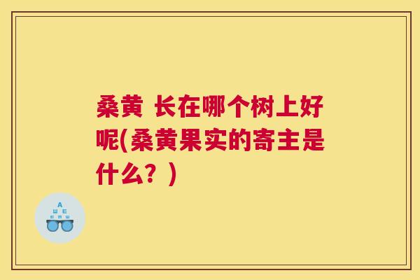 桑黄 长在哪个树上好呢(桑黄果实的寄主是什么？)