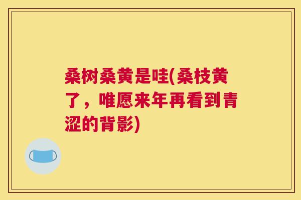 桑树桑黄是哇(桑枝黄了，唯愿来年再看到青涩的背影)