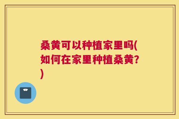桑黄可以种植家里吗(如何在家里种植桑黄？)