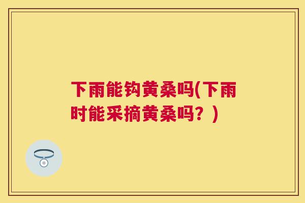 下雨能钩黄桑吗(下雨时能采摘黄桑吗？)