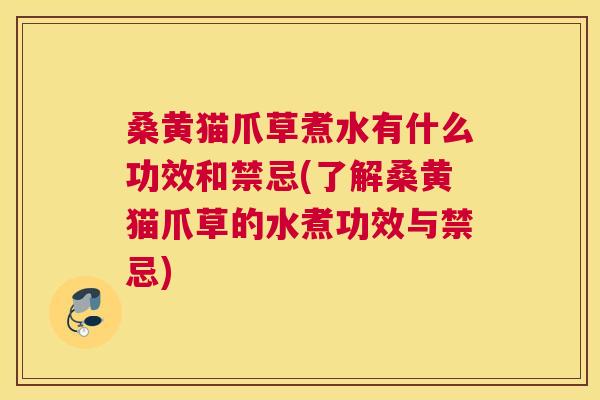 桑黄猫爪草煮水有什么功效和禁忌(了解桑黄猫爪草的水煮功效与禁忌)