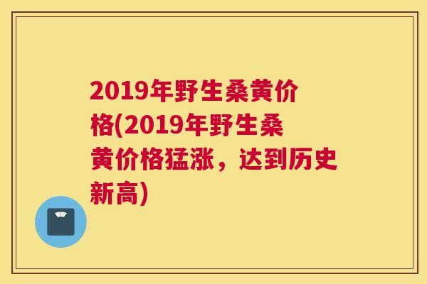 2019年野生桑黄价格(2019年野生桑黄价格猛涨，达到历史新高)