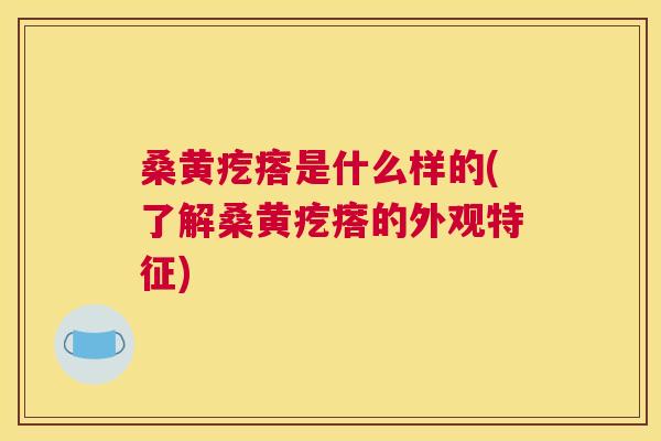 桑黄疙瘩是什么样的(了解桑黄疙瘩的外观特征)