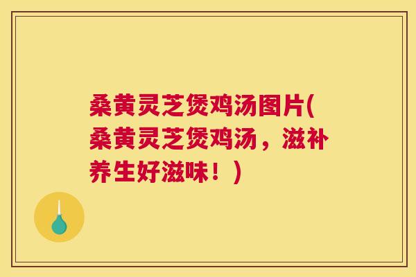 桑黄灵芝煲鸡汤图片(桑黄灵芝煲鸡汤，滋补养生好滋味！)