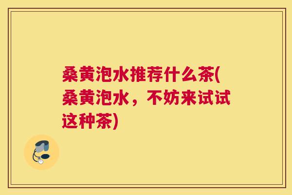 桑黄泡水推荐什么茶(桑黄泡水，不妨来试试这种茶)