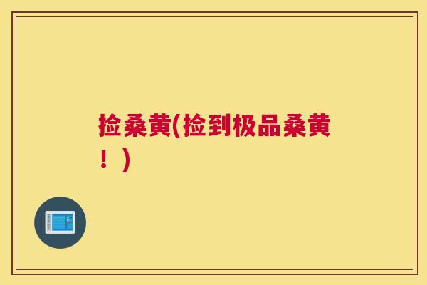 捡桑黄(捡到极品桑黄！)