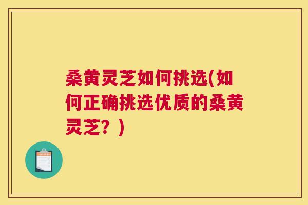 桑黄灵芝如何挑选(如何正确挑选优质的桑黄灵芝？)
