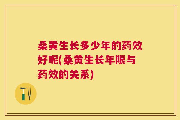 桑黄生长多少年的好呢(桑黄生长年限与的关系)
