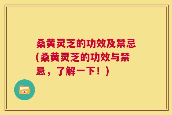 桑黄灵芝的功效及禁忌(桑黄灵芝的功效与禁忌，了解一下！)