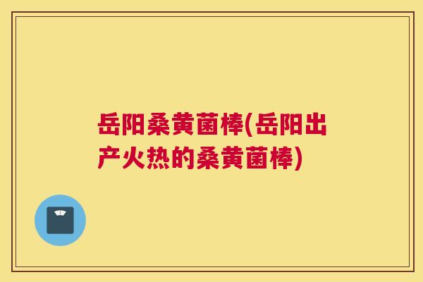 岳阳桑黄菌棒(岳阳出产火热的桑黄菌棒)