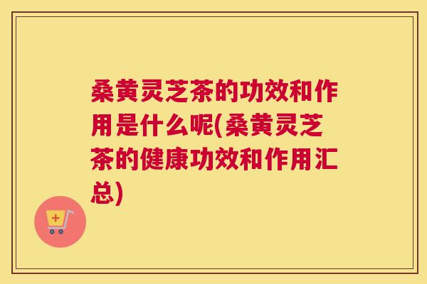 桑黄灵芝茶的功效和作用是什么呢(桑黄灵芝茶的健康功效和作用汇总)