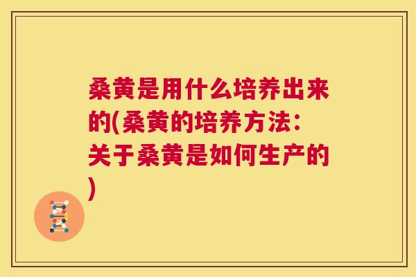 桑黄是用什么培养出来的(桑黄的培养方法：关于桑黄是如何生产的)
