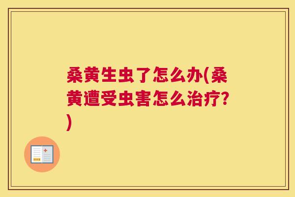 桑黄生虫了怎么办(桑黄遭受虫害怎么？)