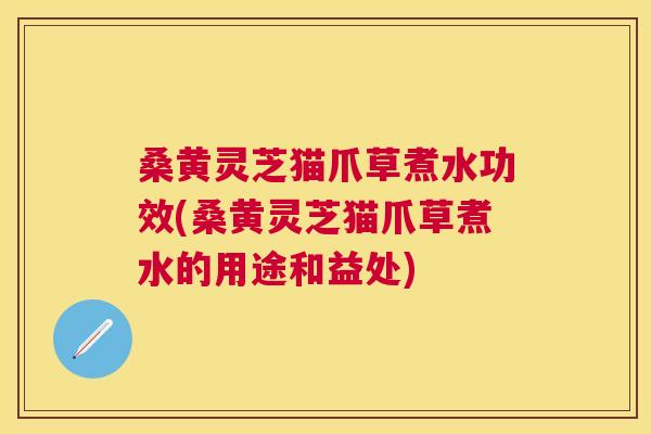 桑黄灵芝猫爪草煮水功效(桑黄灵芝猫爪草煮水的用途和益处)