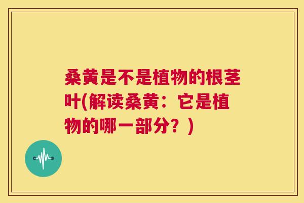 桑黄是不是植物的根茎叶(解读桑黄：它是植物的哪一部分？)
