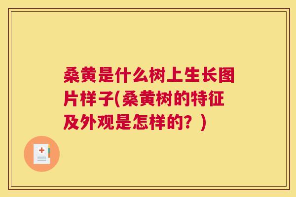 桑黄是什么树上生长图片样子(桑黄树的特征及外观是怎样的？)