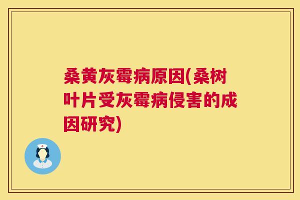 桑黄灰霉原因(桑树叶片受灰霉侵害的成因研究)