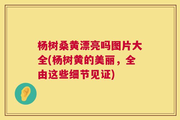 杨树桑黄漂亮吗图片大全(杨树黄的美丽，全由这些细节见证)