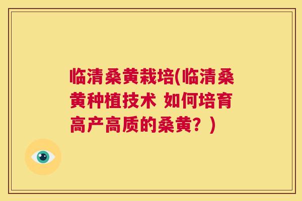 临清桑黄栽培(临清桑黄种植技术 如何培育高产高质的桑黄？)