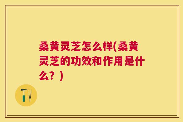 桑黄灵芝怎么样(桑黄灵芝的功效和作用是什么？)