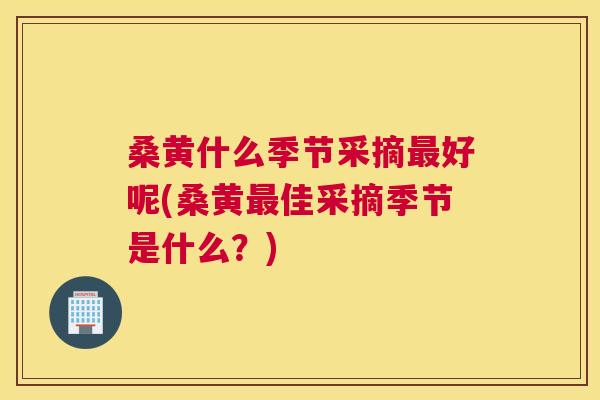 桑黄什么季节采摘好呢(桑黄佳采摘季节是什么？)