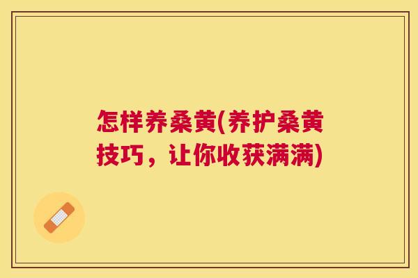怎样养桑黄(养护桑黄技巧，让你收获满满)