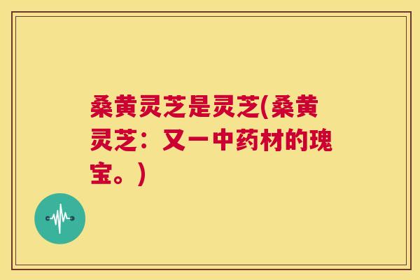 桑黄灵芝是灵芝(桑黄灵芝：又一材的瑰宝。)