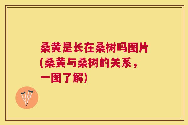 桑黄是长在桑树吗图片(桑黄与桑树的关系，一图了解)