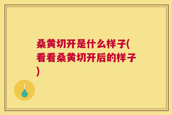 桑黄切开是什么样子(看看桑黄切开后的样子)