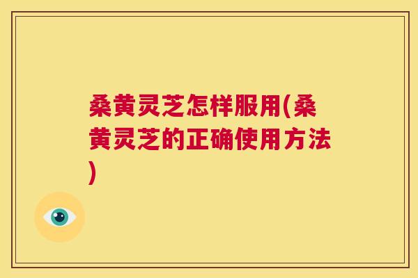 桑黄灵芝怎样服用(桑黄灵芝的正确使用方法)