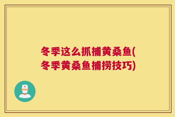 冬季这么抓捕黄桑鱼(冬季黄桑鱼捕捞技巧)