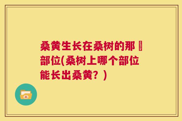 桑黄生长在桑树的那亇部位(桑树上哪个部位能长出桑黄？)