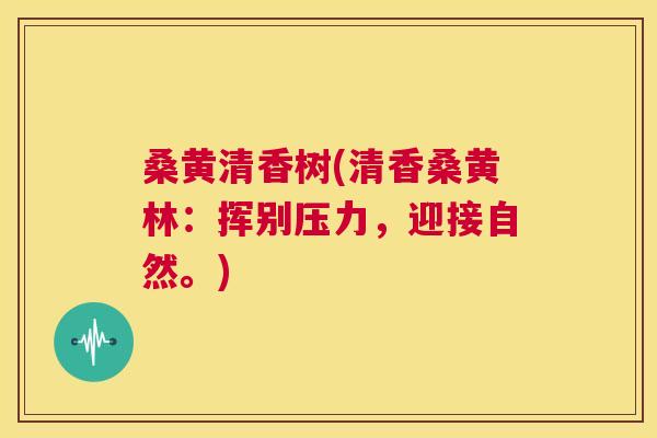 桑黄清香树(清香桑黄林：挥别压力，迎接自然。)