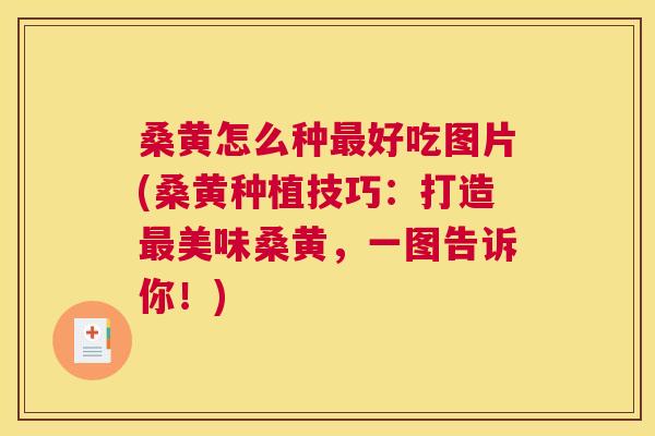 桑黄怎么种好吃图片(桑黄种植技巧：打造美味桑黄，一图告诉你！)