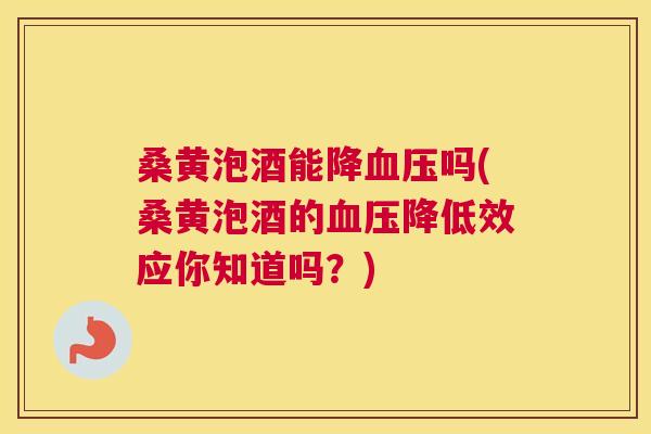 桑黄泡酒能降吗(桑黄泡酒的降低效应你知道吗？)