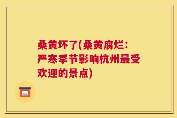 桑黄坏了(桑黄腐烂：严寒季节影响杭州受欢迎的景点)