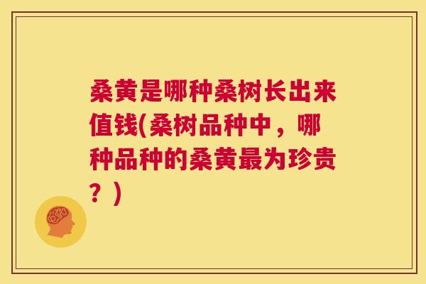 桑黄是哪种桑树长出来值钱(桑树品种中，哪种品种的桑黄为珍贵？)