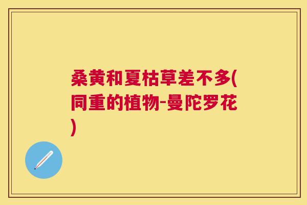 桑黄和夏枯草差不多(同重的植物-曼陀罗花)
