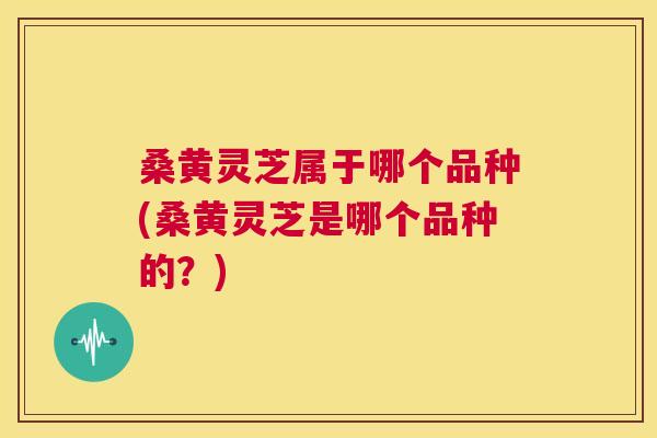 桑黄灵芝属于哪个品种(桑黄灵芝是哪个品种的？)