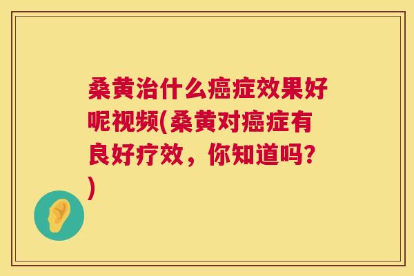 桑黄什么症效果好呢视频(桑黄对症有良好疗效，你知道吗？)
