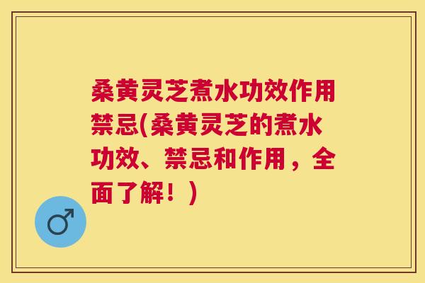 桑黄灵芝煮水功效作用禁忌(桑黄灵芝的煮水功效、禁忌和作用，全面了解！)