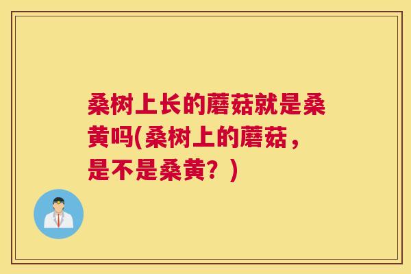 桑树上长的蘑菇就是桑黄吗(桑树上的蘑菇，是不是桑黄？)