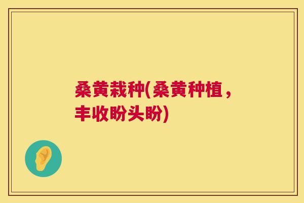 桑黄栽种(桑黄种植，丰收盼头盼)