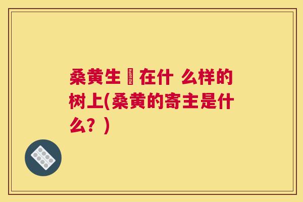 桑黄生長在什 么样的树上(桑黄的寄主是什么？)